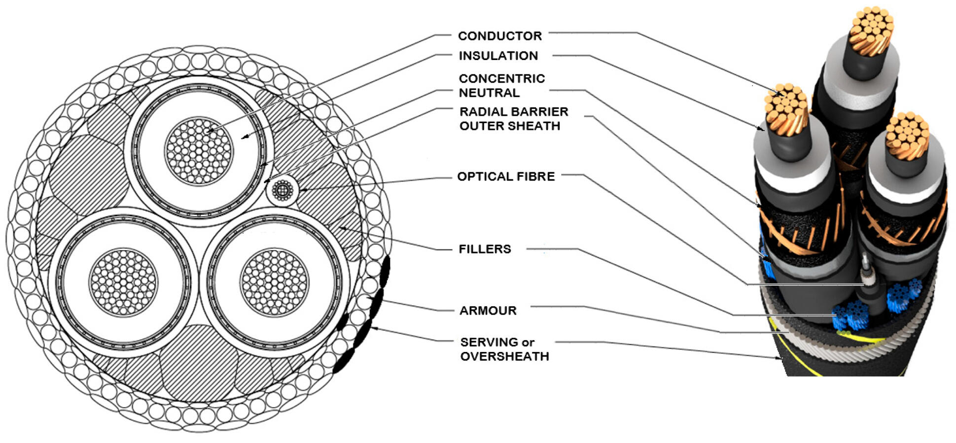 Undersea Cable