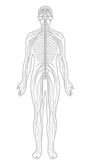 Khaylon Machine Wireframe